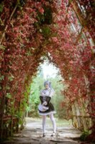 [Image: c2caa1dc27.jpg]